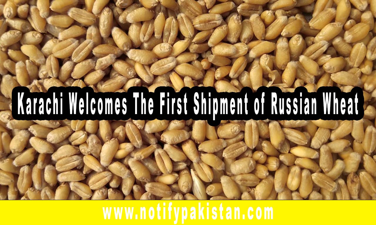  Karachi Welcomes The First Shipment of Russian Wheat