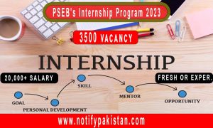 PSEB's Internship Program 2023