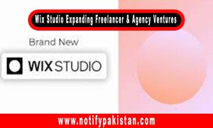 Wix Studio Expanding Freelancer & Agency Ventures