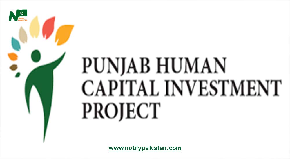 Punjab Human Capital Investment Project Jobs 2023