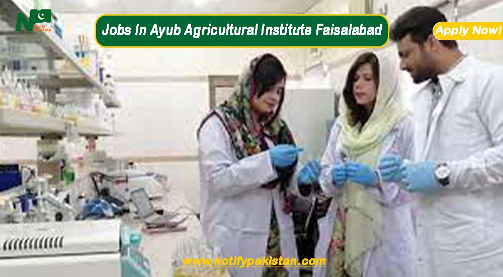 Ayub Agricultural Vegetable Research Institute Faisalabad AAVRI Jobs