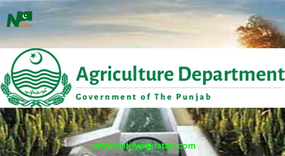 Government Of The Punjab Agriculture Department Jobs