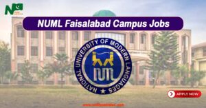 NUML Faisalabad Campus Jobs