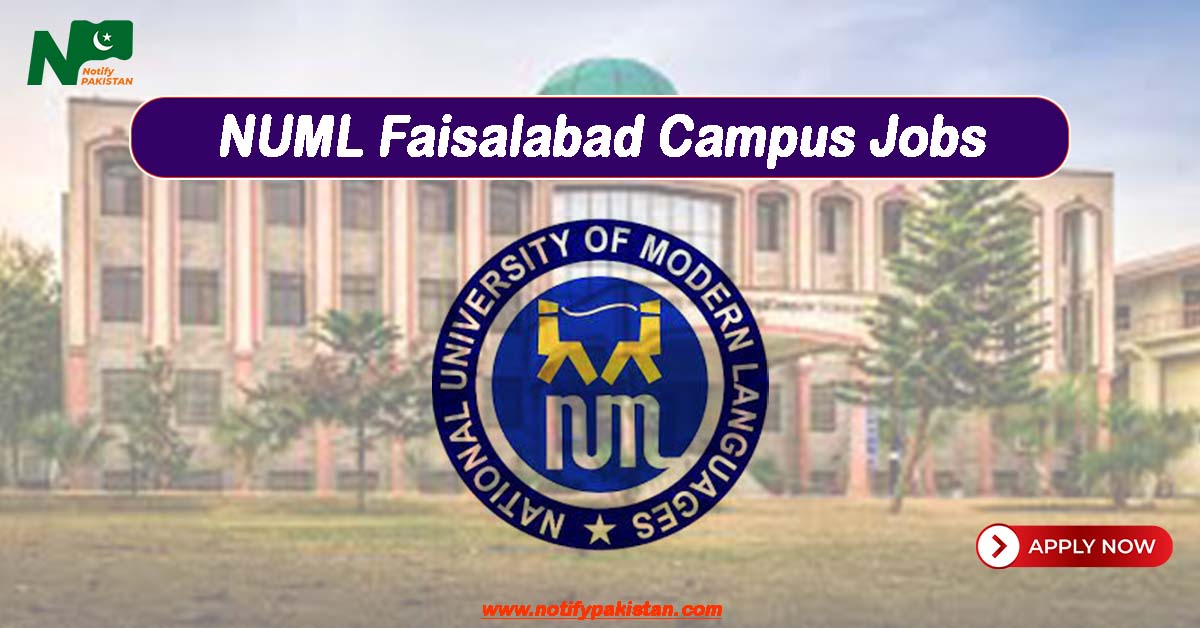 NUML Faisalabad Campus Jobs