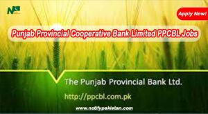 Punjab Provincial Cooperative Bank Limited PPCBL Jobs