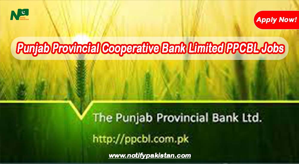 Punjab Provincial Cooperative Bank Limited PPCBL Jobs