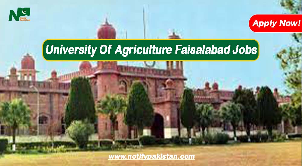 University Of Agriculture Faisalabad UAF Jobs