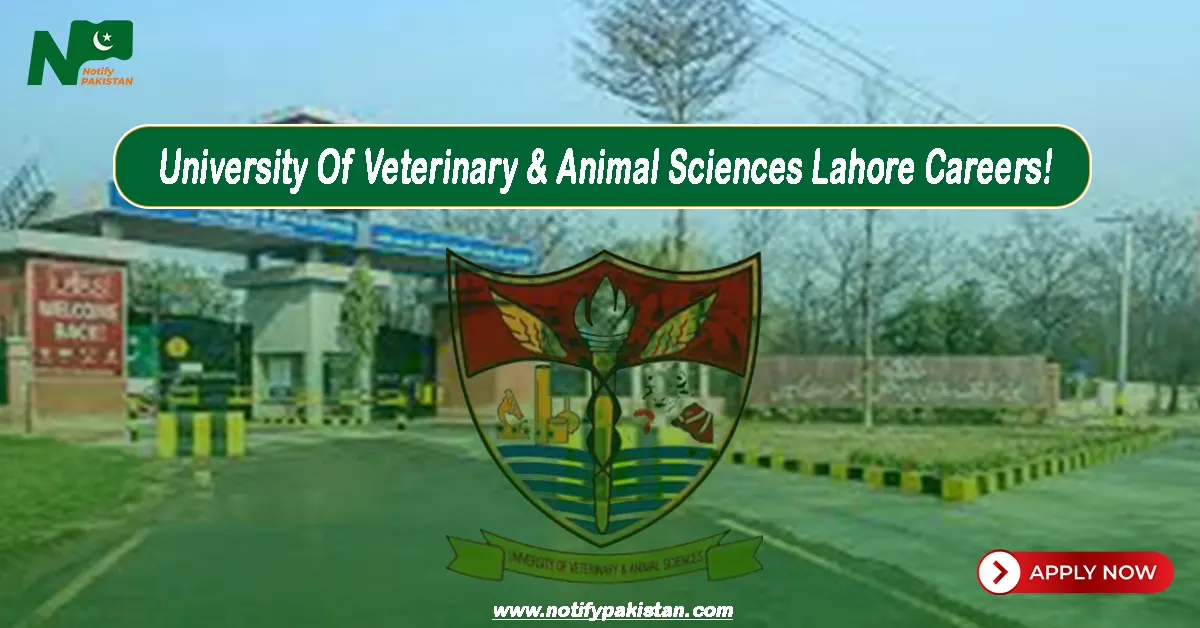 University Of Veterinary And Animal Sciences Lahore UVAS Jobs