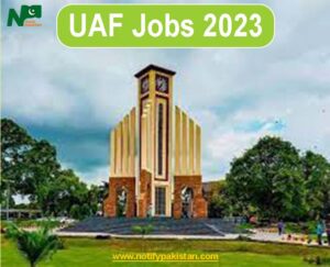 University of Agriculture Faisalabad (UAF) Jobs 2023