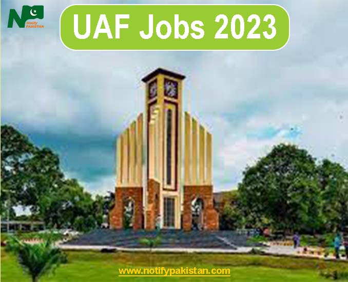 University of Agriculture Faisalabad (UAF) Jobs 2023