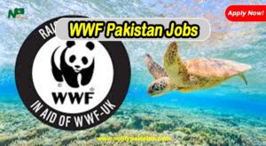 WWF Pakistan Jobs