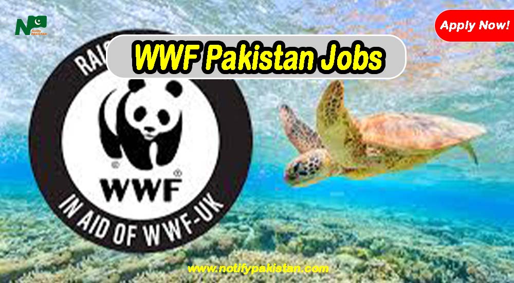 WWF Pakistan Jobs