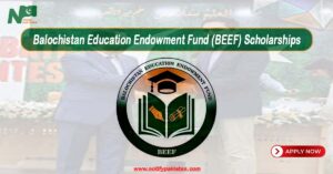 BEEF Scholarships