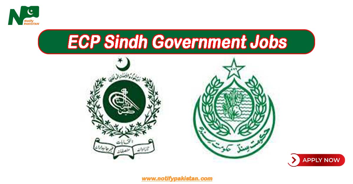 ECP Sindh Jobs