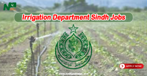 Irrigation Department Sindh Jobs