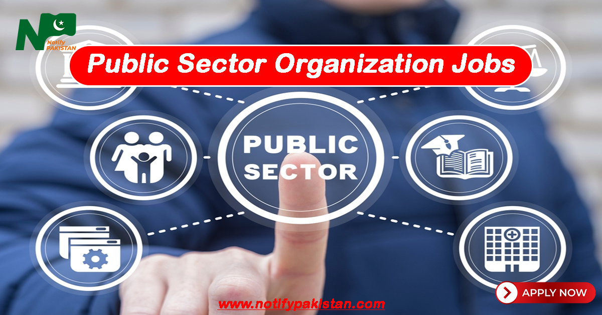 Public Sector Organization Career 91