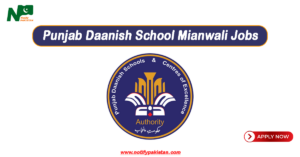 Punjab Daanish School Mianwali Jobs