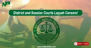 District Courts Layyah Jobs