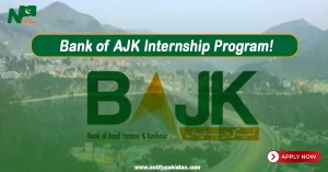 BAJK Internship Program