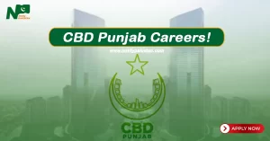 CBD Punjab Jobs