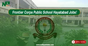 Frontier Corps Public School Hayatabad Jobs