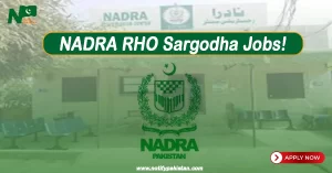 NADRA Sargodha Jobs