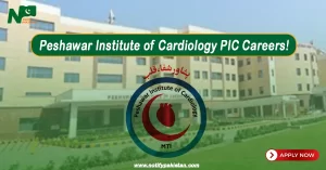 Peshawar Institute of Cardiology Jobs