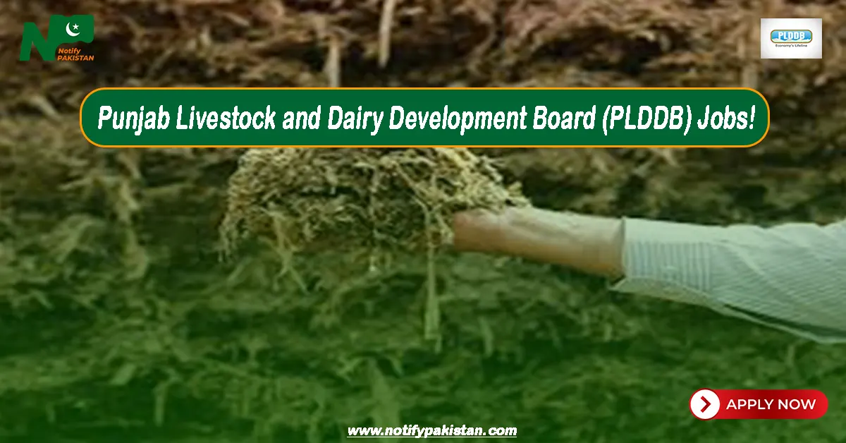 Punjab Livestock and Dairy Development Board PLDDB Jobs