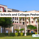 Qurtuba Schools and Colleges Peshawar Jobs