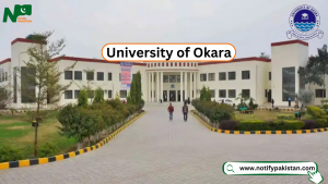 University of Okara Jobs