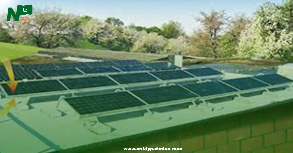 Double Sided Solar Panels