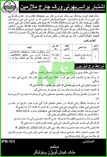 Irrigation Department Bahawalnagar Jobs 2024 Advertisement
