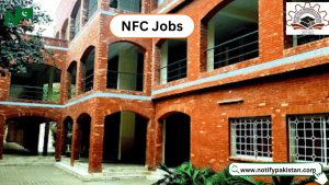 NFC Institute Of Engineering and Technology Multan Jobs