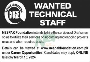 Nespak Foundation Jobs 2024 Advertisement