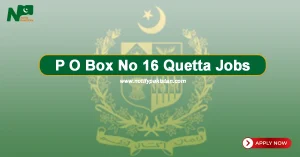 Public Sector Organization P O Box No 16 Quetta Jobs