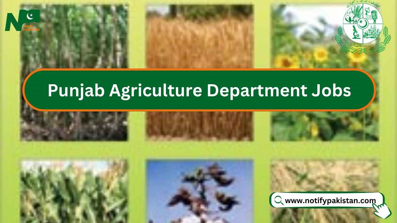 Punjab Agriculture Department Jobs
