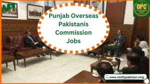 Punjab Overseas Pakistanis Commission OPC Jobs