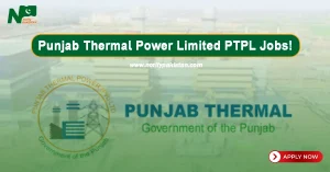 Punjab Thermal Power Limited PTPL Jobs