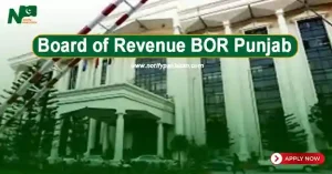 Board of Revenue BOR Punjab Jobs