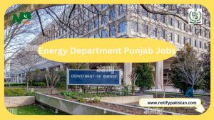 Energy Department Punjab Jobs