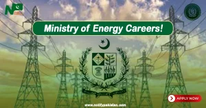 Petroleum Division Ministry of Energy Jobs