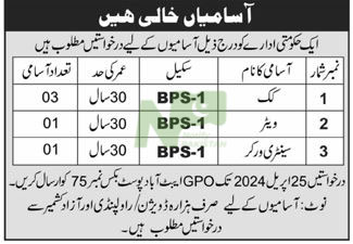 P O Box No 75 GPO Abbottabad Jobs 2024 Advertisement