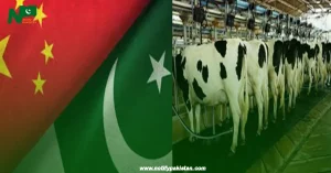 Pakistan Dairy Export to China