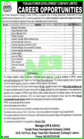 Punjab Power Development Company Limited PPDCL Jobs 2024 Advertisement