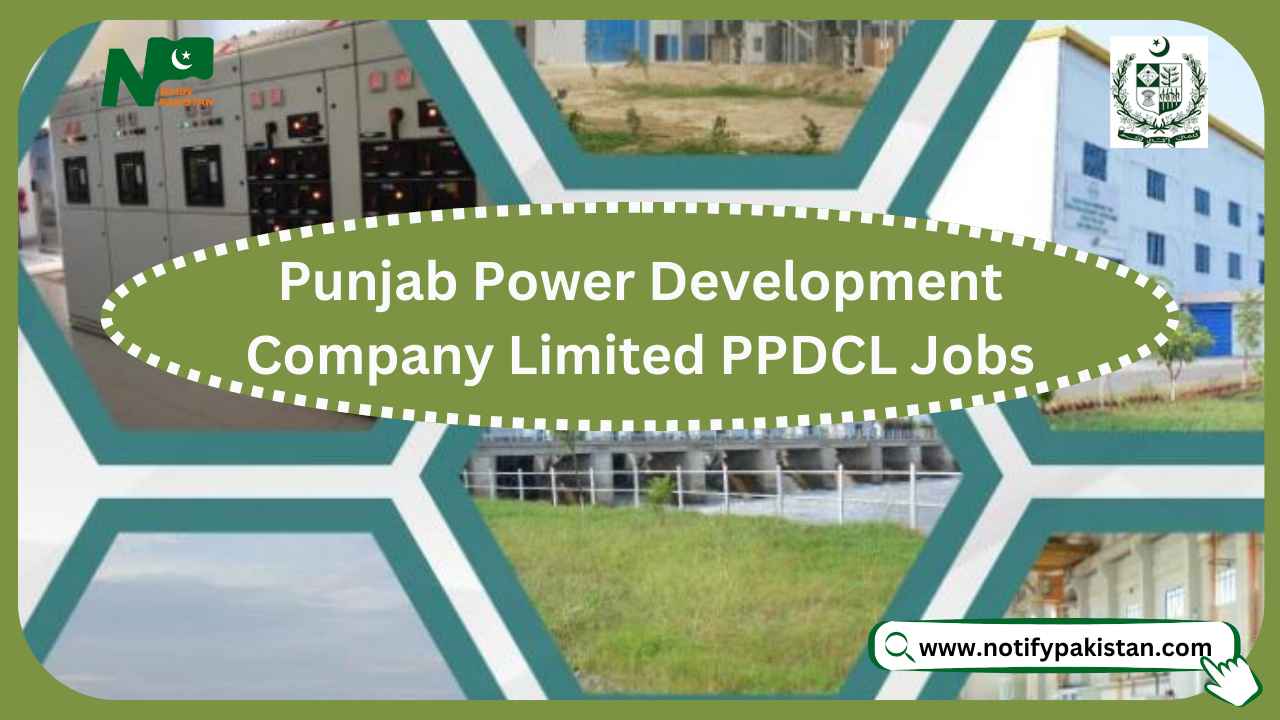 Punjab Power Development Company Limited PPDCL Jobs