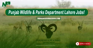 Punjab Wildlife and Parks Department Lahore Jobs