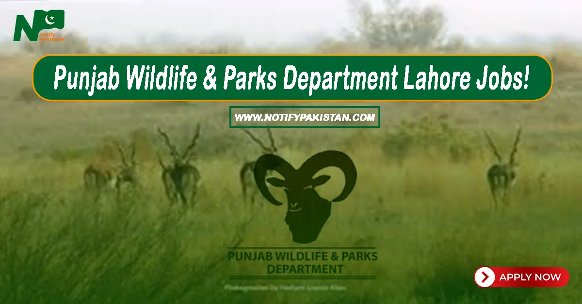 Punjab Wildlife and Parks Department Lahore Jobs