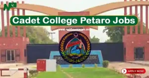 Cadet College Petaro Jobs