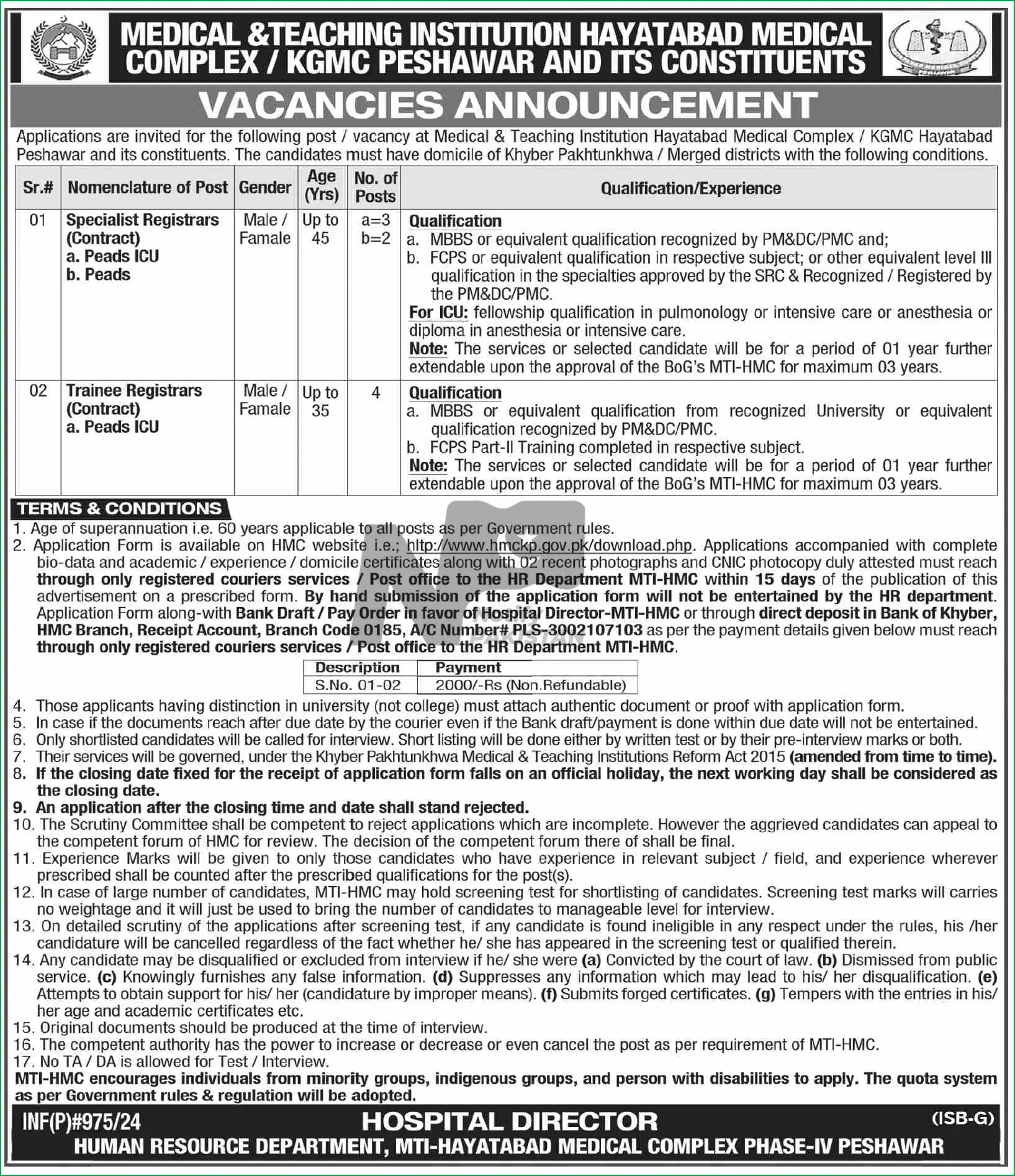 Hayatabad Medical Complex Peshawar Jobs 2024 Advertisement