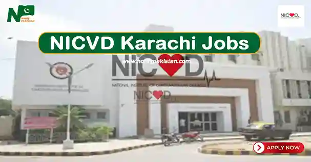 National Institute of Cardiovascular Diseases NICVD Karachi Jobs 2024